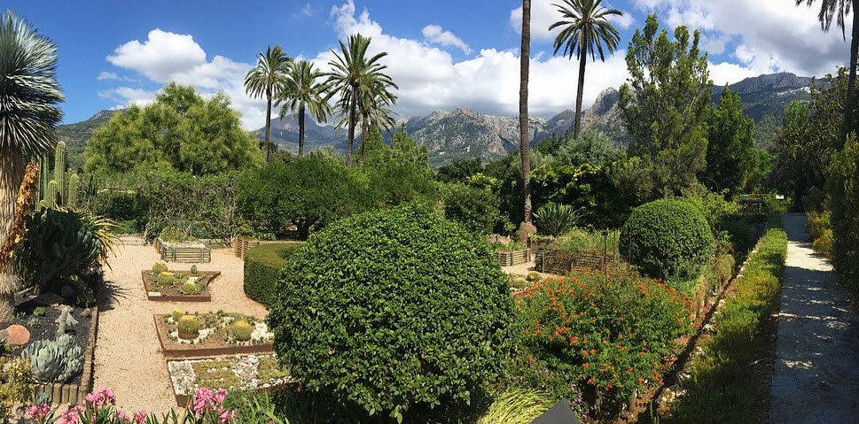 MUCBO | Jardí Botànic, Spain